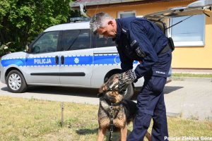 Policjant zakładający owczarkowi niemieckiemu smycz