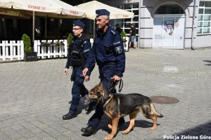 Dwóch policjantów i pies spacerujący po deptaku