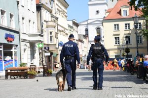Dwóch policjantów i pies spacerujący koło ratusza